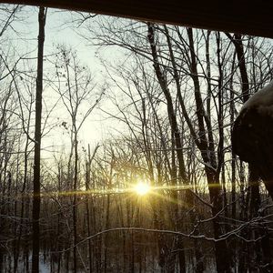 Meet your Posher, Madeline